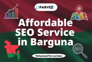 SEO Service in Barguna