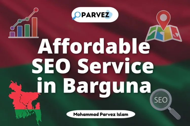 SEO Service in Barguna